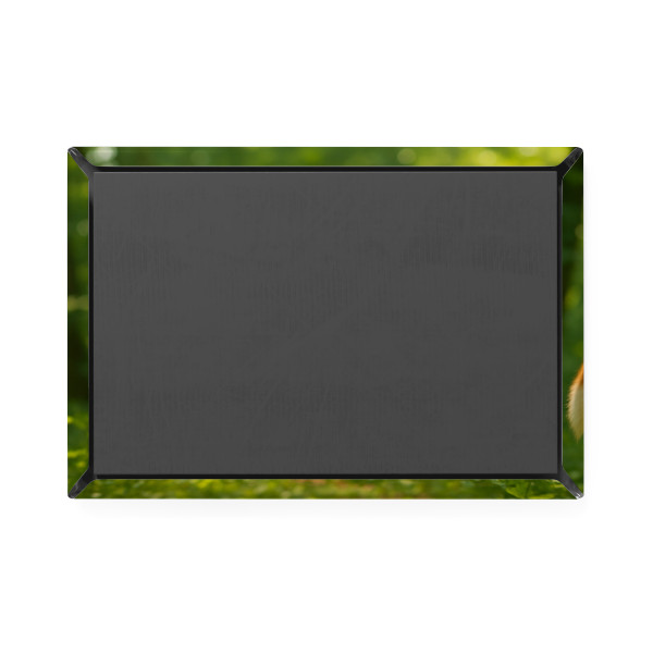 Whimsical Fox Tails - Button Magnet, Rectangle (1 & 10 pcs)