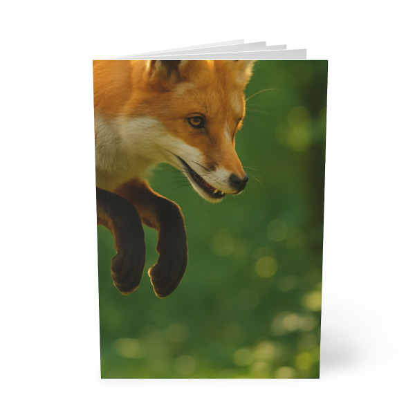 Whimsical Fox Tails - Softcover Notebook, A5