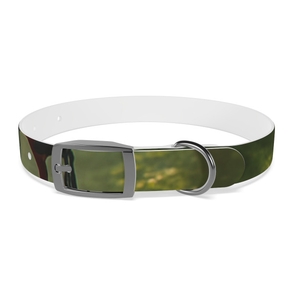 Pedal Through Paradise - Dog Collar