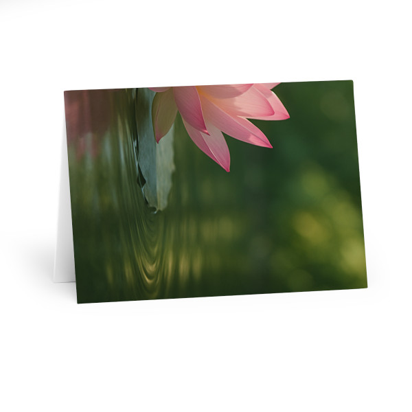 Tranquil Lotus - Greeting Cards (5 Pack)