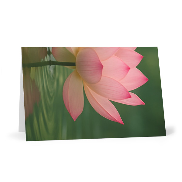 Tranquil Lotus - Greeting Cards (7 pcs)