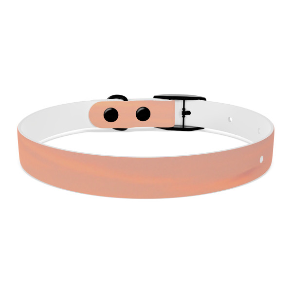 Serenity Within - Dog Collar