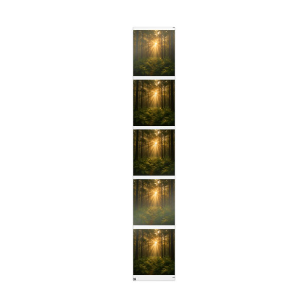 Serene Forest Retreat - Wrapping Papers
