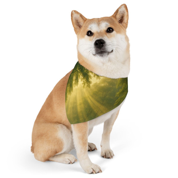 Whispers of Dawn - Pet Bandana Collar