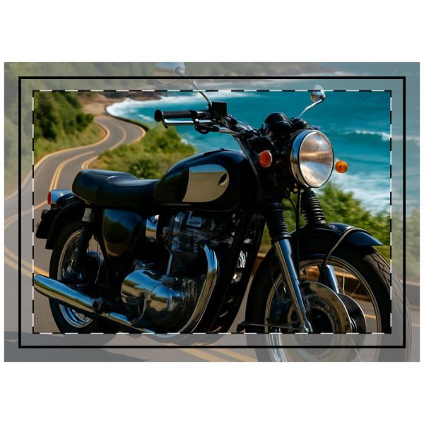 Freedom Ride - Throw Pillow