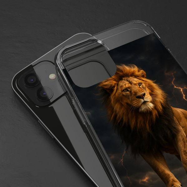 Unyielding Spirit - Clear Cases