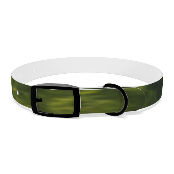 Endurance Trailblazer - Dog Collar