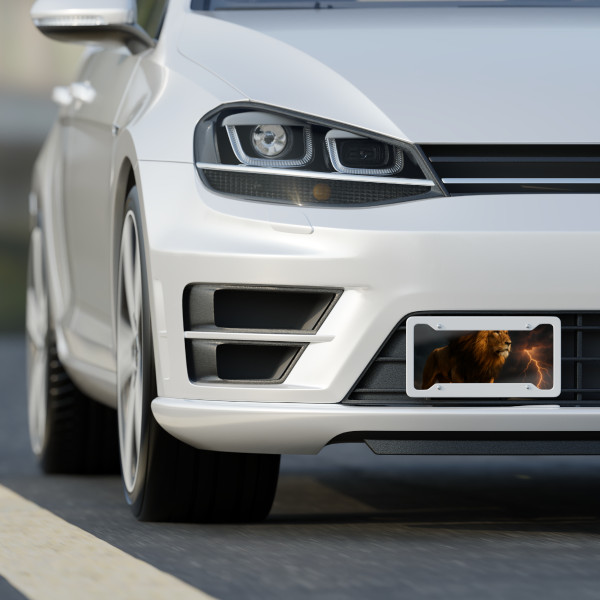 Unyielding Spirit - License Plate