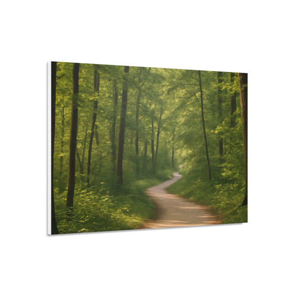 Path of Enlightenment - Foam Board