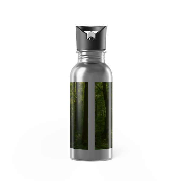 Path of Enlightenment - Stainless Steel Water Bottle With Straw, 20oz