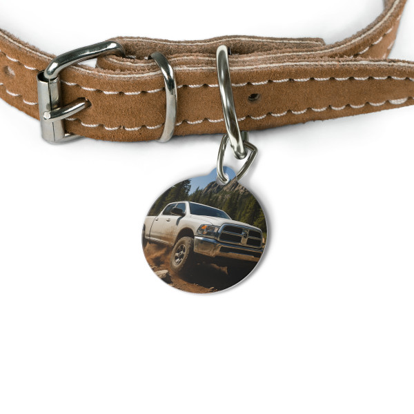 Mountain Beast - Pet Tag