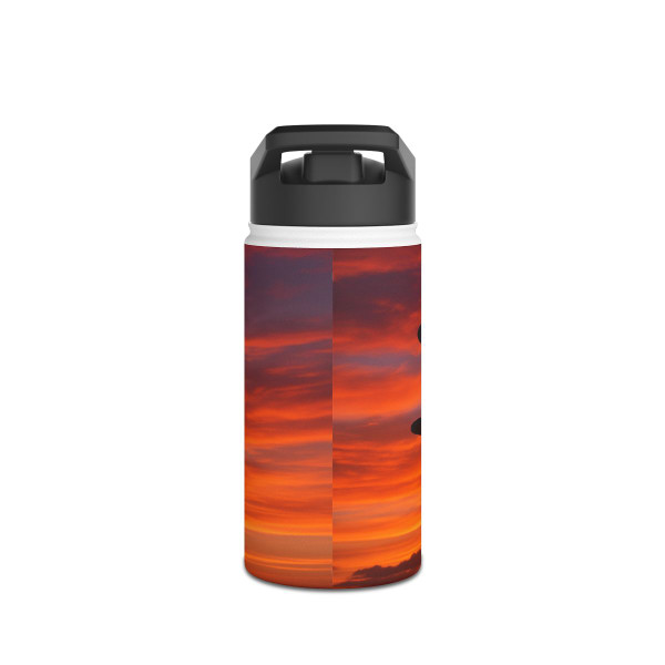 Skyward Journey - Stainless Steel Water Bottle, Standard Lid