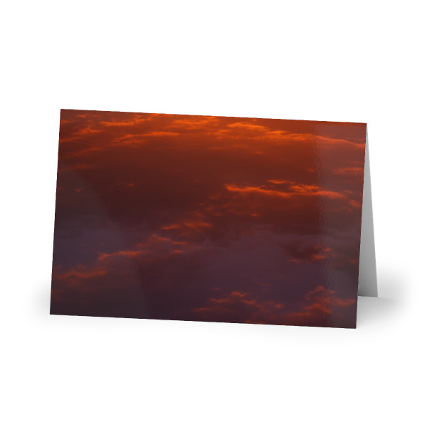 Savanna Sunset Serenade -  Greeting Cards (1 or 10-pcs)