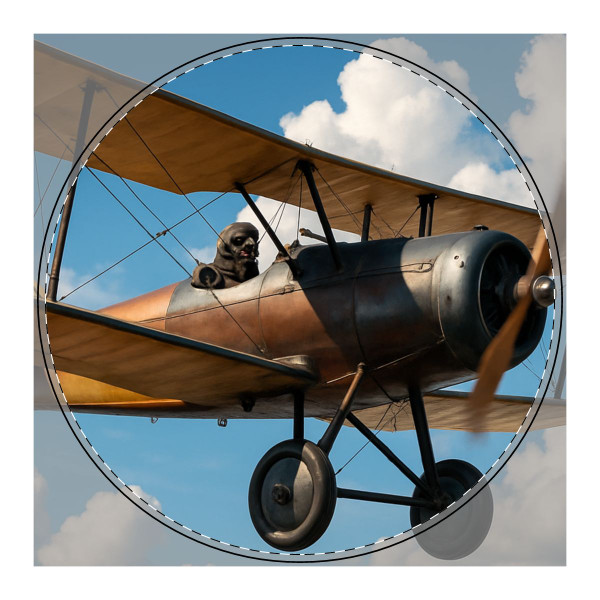 Skyward Soar - PU Leather Mouse Mat