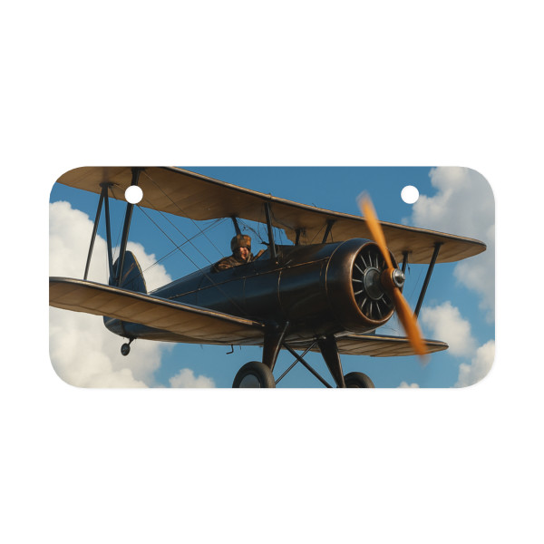 Skyward Soar - Mini License Plate