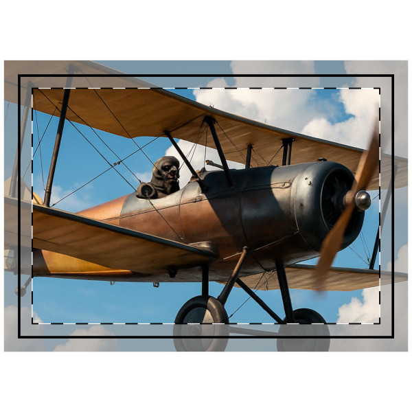 Skyward Soar - Throw Pillow