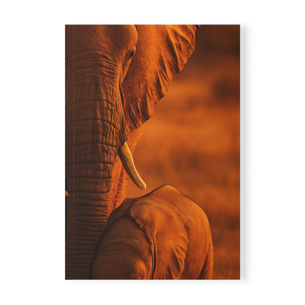 Majestic Elephant Guardian - Softcover Notebook, A5