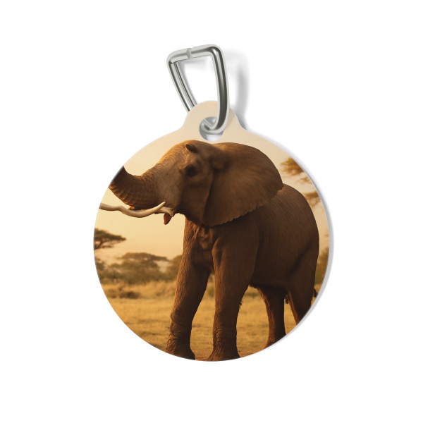 Graceful Elephant Dance - Pet Tag