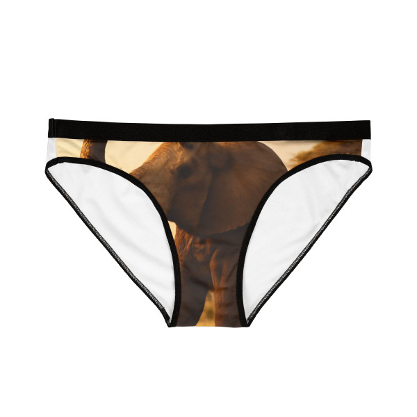 Graceful Elephant Dance - Women's Underwear (AOP)