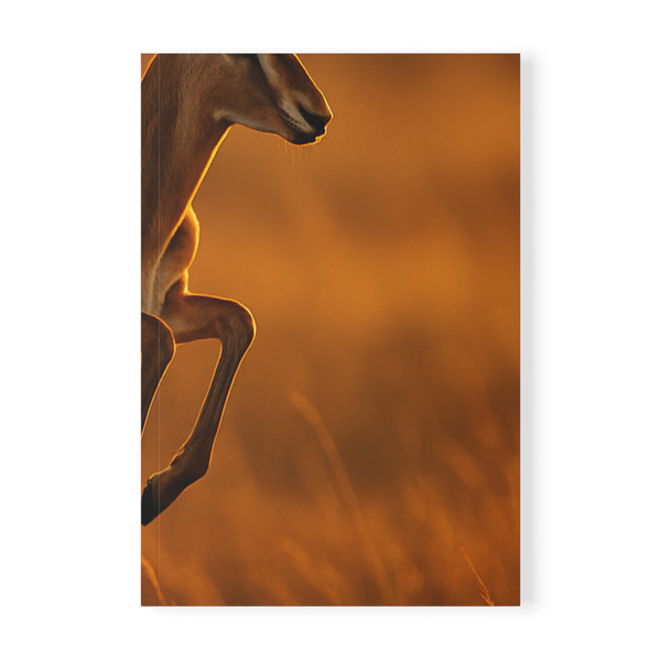Graceful Gazelle Leap - Softcover Notebook, A5