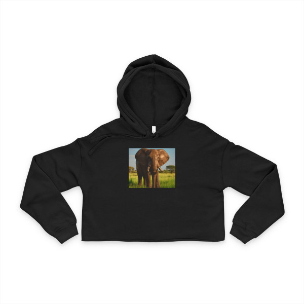 Majestic Elephant Spirit - Women's Cropped Hoodie