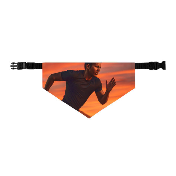 Endurance Spirit Unleashed - Pet Bandana Collar