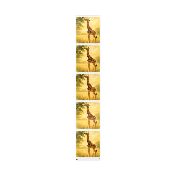 Gentle Giraffe Glow - Wrapping Papers
