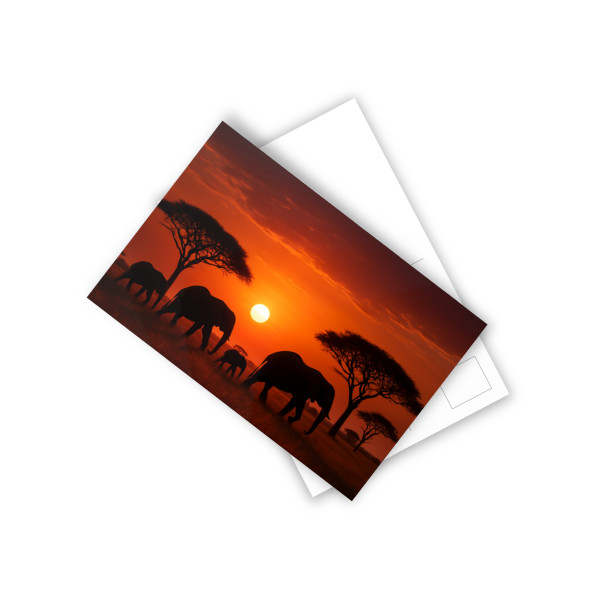 Savanna Harmony - Postcards (10pcs)
