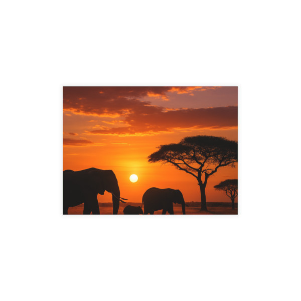 Savanna Harmony - Postcard Bundles (envelopes not included) 