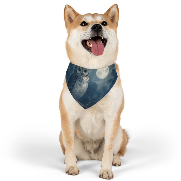 Ethereal Owl Watch - Pet Bandana Collar