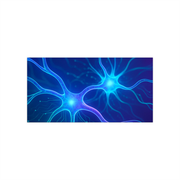 Neural Dreamscape - Bumper Stickers