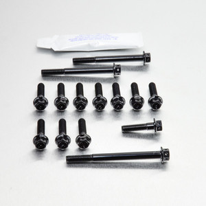 Ergal - Kit Viti Motore Testa Forata Kawasaki ZZR1400 Nero