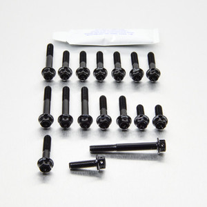 Kit Viti Ergal Carter Motore Aprilia RS250 '98-'03 Testa Forata Corsa Nero Kit Viti Ergal Carter Motore Aprilia RS250 '98-'03 Testa Forata Corsa Nero