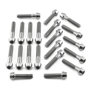 Kit Viti Titanio Carter Motore BMW S1000RR Kit Viti Titanio Carter Motore BMW S1000RR
