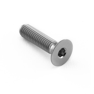Vite Inox Testa Piana Svasata M5 x (08mm) x 20mm Vite Inox Testa Piana Svasata M5 x (08mm) x 20mm