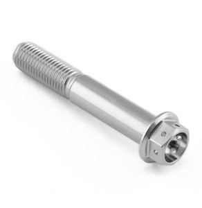 Vite Inox testa esagonale flangiata M10 x (125mm) x 60mm Testa Forata Vite Inox testa esagonale flangiata M10 x (125mm) x 60mm Testa Forata