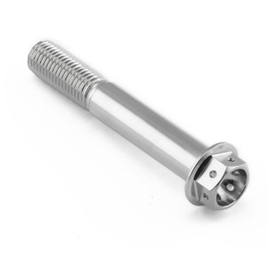 Vite Inox testa esagonale flangiata M10 x (1.25mm) x 65mm Testa Forata Vite Inox testa esagonale flangiata M10 x (1.25mm) x 65mm Testa Forata