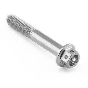 Vite Inox testa esagonale flangiata M6 x (100mm) x 40mm Testa Forata Vite Inox testa esagonale flangiata M6 x (100mm) x 40mm Testa Forata