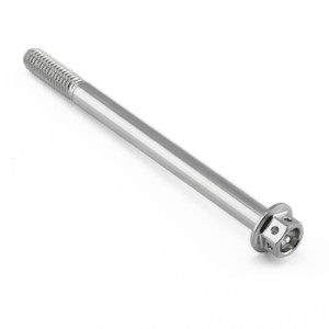 Vite Inox testa esagonale flangiata M6 x (100mm) x 80mm Testa Forata Vite Inox testa esagonale flangiata M6 x (100mm) x 80mm Testa Forata