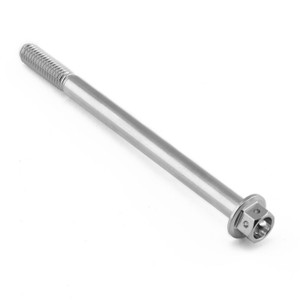 Vite Inox testa esagonale flangiata M6 x (100mm) x 85mm Testa Forata Vite Inox testa esagonale flangiata M6 x (100mm) x 85mm Testa Forata