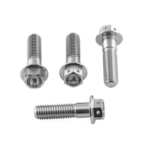 Kit Viti Inox Serraggio Bracciali Semimanubri Testa Forata Corsa Kit Viti Inox Serraggio Bracciali Semimanubri Testa Forata Corsa
