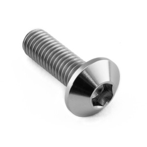 Titanio - Viti Disco Freno M8x25mm BMW/Altro Titanio - Viti Disco Freno M8x25mm BMW/Altro