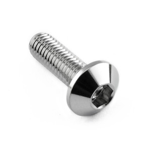 Vite Disco Freno Inox BMW M8x25mm