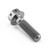 Titanio - Vite Dual Drive M6 (100mm)x 22mm testa forata
