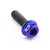 Titanio - Vite Dual Drive M6 (100mm)x 22mm testa forata Foschia Viola