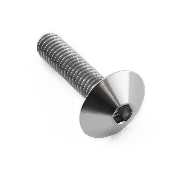 Titanio - Vite Testa Bombata M6 x (100mm) x 25mm
