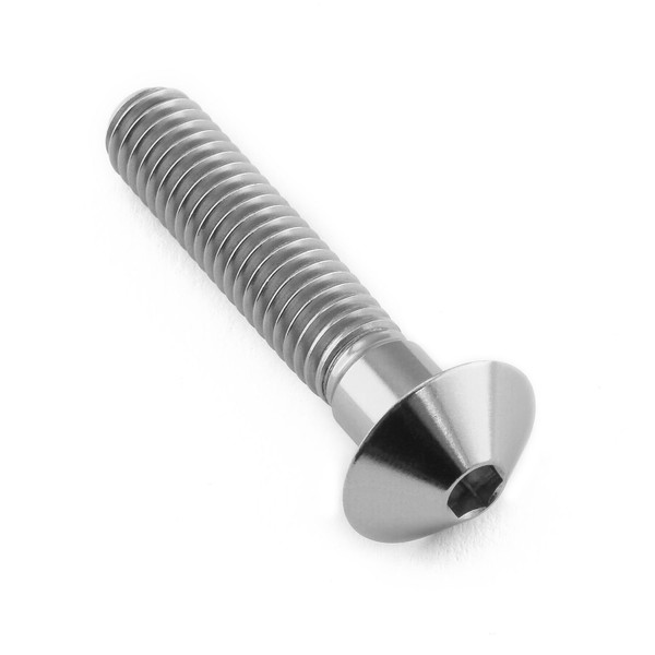 Titanio - Vite Testa Bombata M6 x (100mm) x 30mm