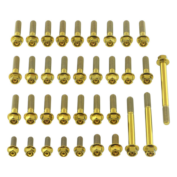 Kit Viti Titanio Carter Motore Husqvarna FE 450 Enduro Testa Esagonale Oro