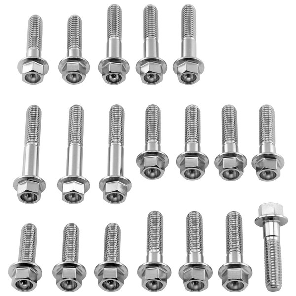 Kit Viti Inox Carter Motore RG500 Testa Esagonale