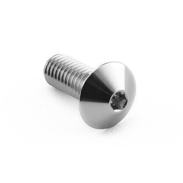 Vite Inox Testa Bombata M6x(1.00mm)x16mm (12mm O/D) AK3